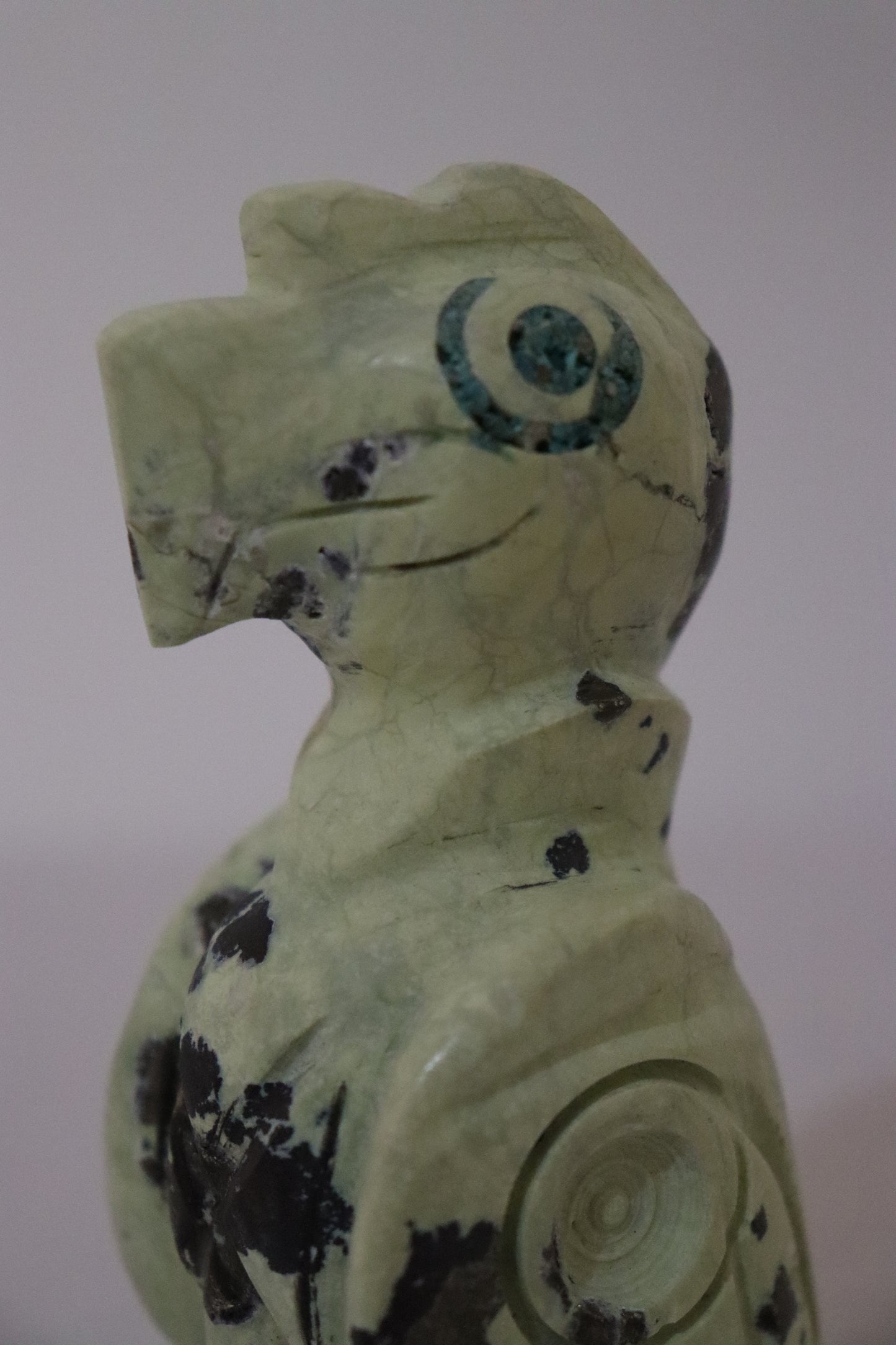 COD.302-Condor Andino