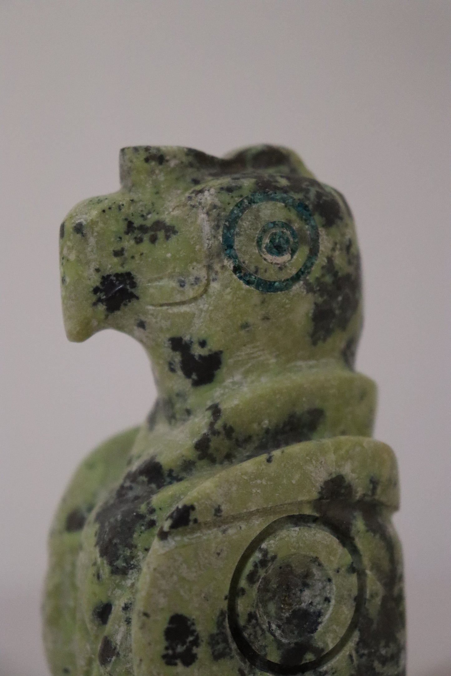 COD.306-Condor Andino